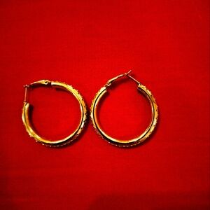 Gold Tone Hoop Earrings